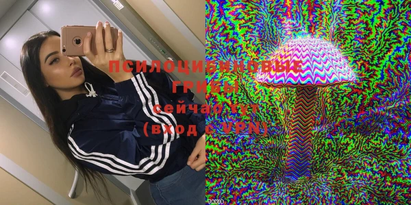 экстази Белокуриха
