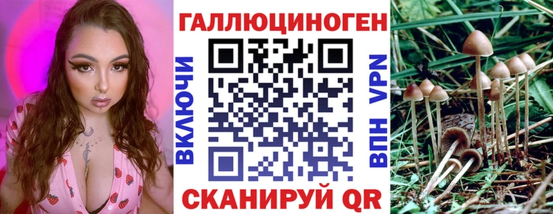 Галлюциногенные грибы GOLDEN TEACHER  Высоцк 