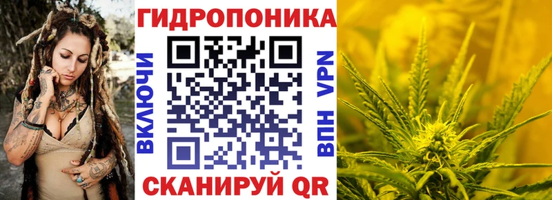 Бошки марихуана Amnesia Высоцк